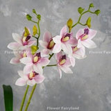 Faux Cymbidium Hybrid Orchid | High Quality Artificial Flower | DIY Floral | Wedding/Home Decoration | Gifts - Purplish Pink