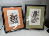 Vintage Pressure Dried Flowers Art in Frame 7???x9??? Set of 2
