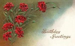 Vintage Postcard Birthday Greetings Red Carnation Flowers Design Greeting Card