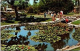 Anaheim CA Water Lily Pond Park California Bridge Path postcard P24