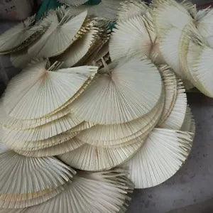 Dried Flower Palm Leaves Plant Bouquet Wedding Party Home Floral Decor DIY Craft