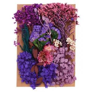 Natural Dried Flowers Multiple Real Dried Pressed Flowers Plant Purple