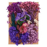 Natural Dried Flowers Multiple Real Dried Pressed Flowers Plant Purple