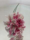 Porcelain Flower Pink/White Carnation Long Stemmed Plastic Stem Bone China 12