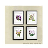 Mothers day gift set of 4 Orchid Prints Botanical Art,  Set of 4 Prints, Botany Print, Tropical Decor Hawaiian room decor, gift for her
