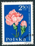 POLAND 1964 2z50 SG1537 used FG Garden Flowers Carnation ##W27