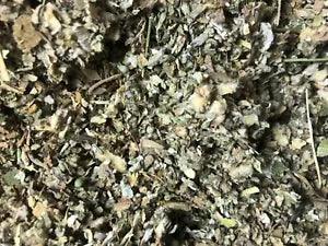 No.23 Herb Mix Osha Lobelia Mull Colts Catnip Raspberry Mint Leaf  1/8 oz sample