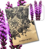 Gayfeather Liatris ??Kobold?? Liatris spicata