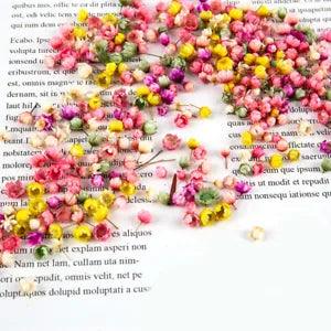 60Pcs Real Dried Flowers DIY Art Epoxy Resin Candle Jewellery Filler Accessori u