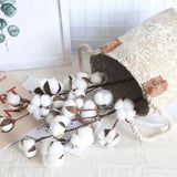 Artificial Flowers 10 Head Naturally Dried Cotton Artificial Plants Floral...