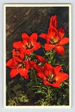 Postcard Orage Lily Flower Thor Gyger Stehli Series 1940s Unposted