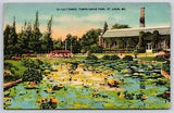 Lily Ponds at Tower Grove Park St. Louis Missouri MO Postcard c1942