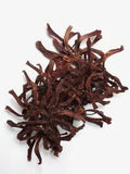 Natural Dried Orchid Flower Home Room Wall Wedding Garden Decore 25 Pieces New
