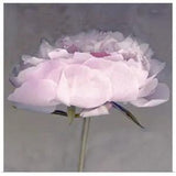 Jolie Poster Art Print, Peony Home Decor