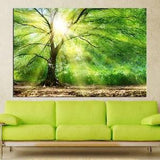 Green Tree wall art canvas Sunshine through Tree art prints Forest wall art Green Tree Large wall art Bedroom wall art