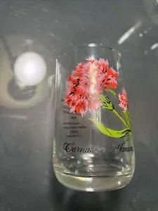 Vintage Brockway FLOWER of the MONTH JANUARY CARNATION  GLASS TUMBLER