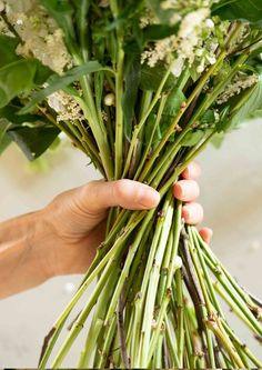 How to make a hand-tie bouquet ?? Philippa Craddock Flower Delivery