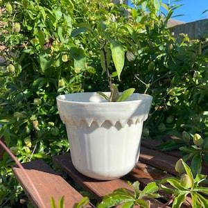 porcelain flower pot, porcelain fun fair inspired pot, orchid pot .unique design,vase,birthday gift,gift idea