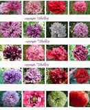 Doubles Peony Pom Pom Som. Poppy Variety Mix 2000 Seeds  *PoppyQueen??