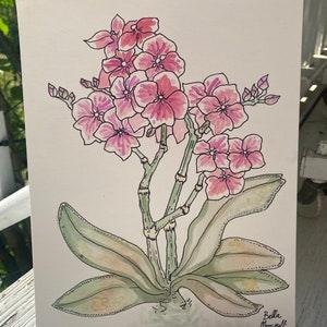 Orchid Flowers- ORIGINAL illustration on artboard
