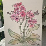 Orchid Flowers- ORIGINAL illustration on artboard