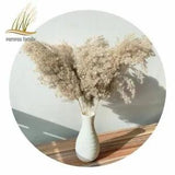 Pampas Grass Decor Dried Flowers Large Size Natural Reed Tall 19-22???? Wedding