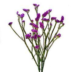 Purple wedding flowers wholesale ? bulk purple flowers wedding in FiftyFlowers Flower Delivery