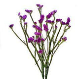 Purple wedding flowers wholesale ? bulk purple flowers wedding in FiftyFlowers Flower Delivery