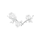 Hand Drawn Orchid Flower Arrangements. Floral Decorative Design Elements. Wreath-3. Vector Illustration. Gentle Leaves, Feminine Logos.