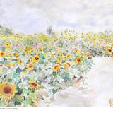 Sunflower Field 8x8 Gicl??e Fine Art Print Watercolor Floral Landscape Richmond BC Canada Landscape Hymn Inspiration Botanical Yellow Flower