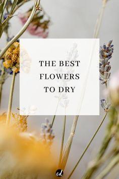The Best Flowers To Dry For Decor Flower Delivery