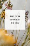 The Best Flowers To Dry For Decor Flower Delivery