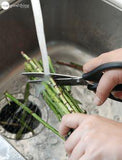 7 Easy Ways To Make Fresh Cut Flowers Last Longer Flower Delivery
