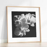 Orchid Wall Art, Black and White Orchid Print, Flower Photograph, Floral Wall Decor, Botanical Print, Orchid Lover Gift, Over bed Wall Art