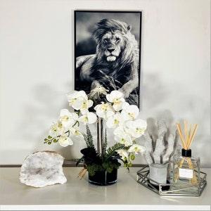 SAFARY by PARIS - White artificial orchid plant in BLACK or White cylinder glass vase - Faux orchid plant - Phaleonopsis plant - 15 X 10 Cm