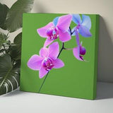 Pink Orchid Canvas Wall Art Orchid Wall Art Flower Wall Art Floral Wall Art Orchid Wall Decor Orchid Art Print Painting Green