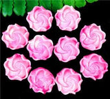 10Pcs 19x11mm Rose Tridacna Carved Peony Flower Heigth Hole Pendant Bead EE3729