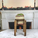 vintage plant basket, baskets for plants, plant pots, planter, plant gifts, orchid pot, plant holder, organic basket, flower pot, PH 3598