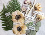Framed Florals F A Q // Which Flowers Press the Best? ?? Framed Florals Flower Delivery