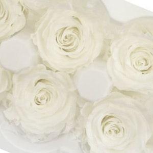 Large Pure White Roses Japanese Preserved, Perfect for DIY Home D¡§?cor, Flower Arrangements, Wedding Decorations, Rose Gift