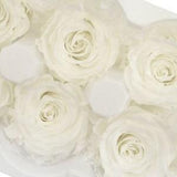 Large Pure White Roses Japanese Preserved, Perfect for DIY Home D¡§?cor, Flower Arrangements, Wedding Decorations, Rose Gift