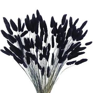 120pcs Dried Bunny Tails Flowers Lagurus Ovatus Tail Dried Flowers Black