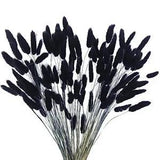 120pcs Dried Bunny Tails Flowers Lagurus Ovatus Tail Dried Flowers Black