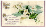 Easter Day White Lili's Cross Embossed Germany Antique Postcard Writing c.1910