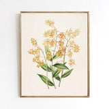 Golden Orchid | Vintage flower illustration art print botanical peach | sizes 5x7 8x10 11x14