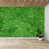 Green Moss Wall Mural Stabilized Moss Ecofriendly Kitchen Wallpaper Background Peel and Stick Floral Art Print Bedroom Wallpaper Gym Mural