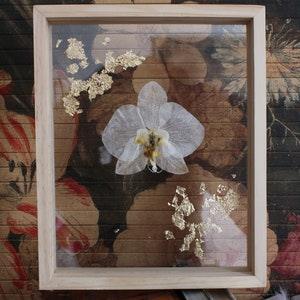 Floating frame / pressed orchid / Herbarium / dried flowers / wall