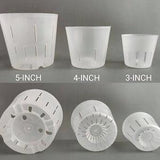 Clear Translucent Plant Pots With Side And Bottom Drainage Holes (5-Pack) - For Orchid, Monstera, Philodendron, Anthurium