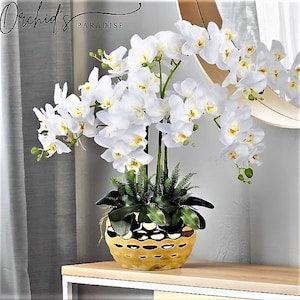 GUCCY PARIS - White orchid in GOLD bowl pot ceramic - Orchids Plant Arrangement Artificial - Faux orchid and Moss floral display,Gifts
