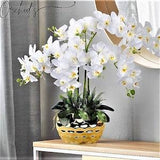 GUCCY PARIS - White orchid in GOLD bowl pot ceramic - Orchids Plant Arrangement Artificial - Faux orchid and Moss floral display,Gifts